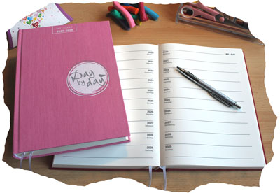 My Diary 2022-2031 - flamingo rose