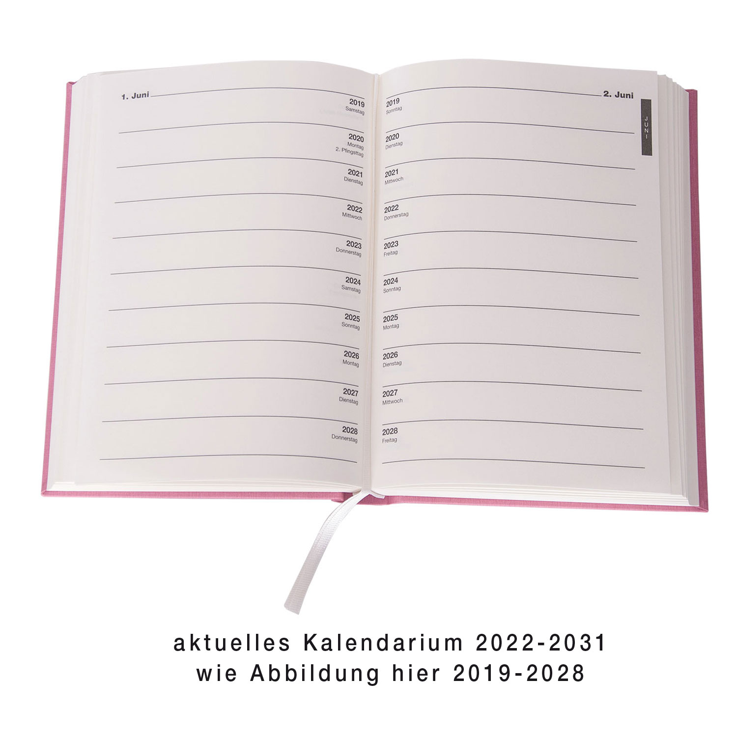 My Diary 2022-2031 - flamingo rose